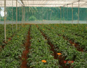 Product 9